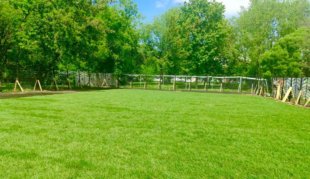 Сотрудники районной управы рассказали о благоустройстве в Царицыне. Фото: официальная страница управы района Царицыно в социальных сетях