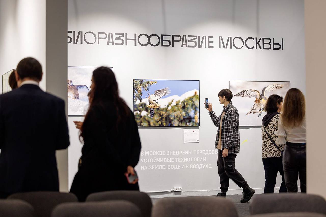 Горожане могут принять участие в фотоконкурсе «Золотая черепаха» в номинации «Дикая природа Москвы». Фото: пресс-служба Департамента природопользования и охраны окружающей среды города Москвы