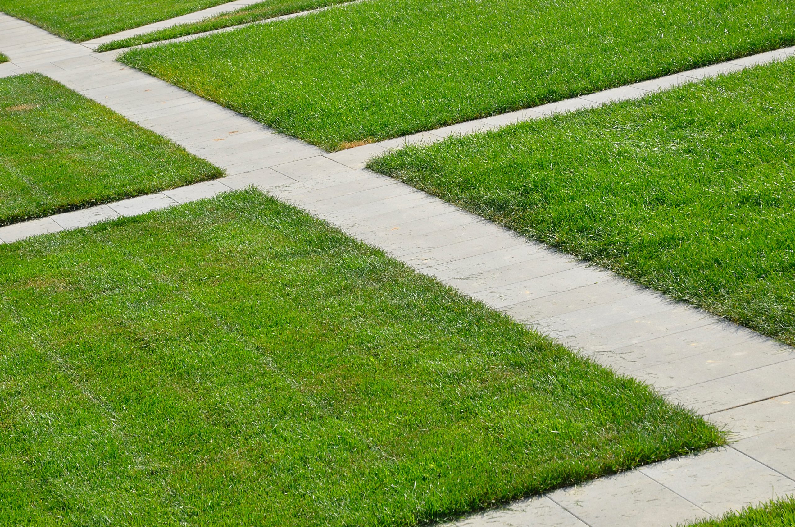 Благоустройство дворовой территории прошло в Царицыне. Фото: Анна Быкова, «Вечерняя Москва»