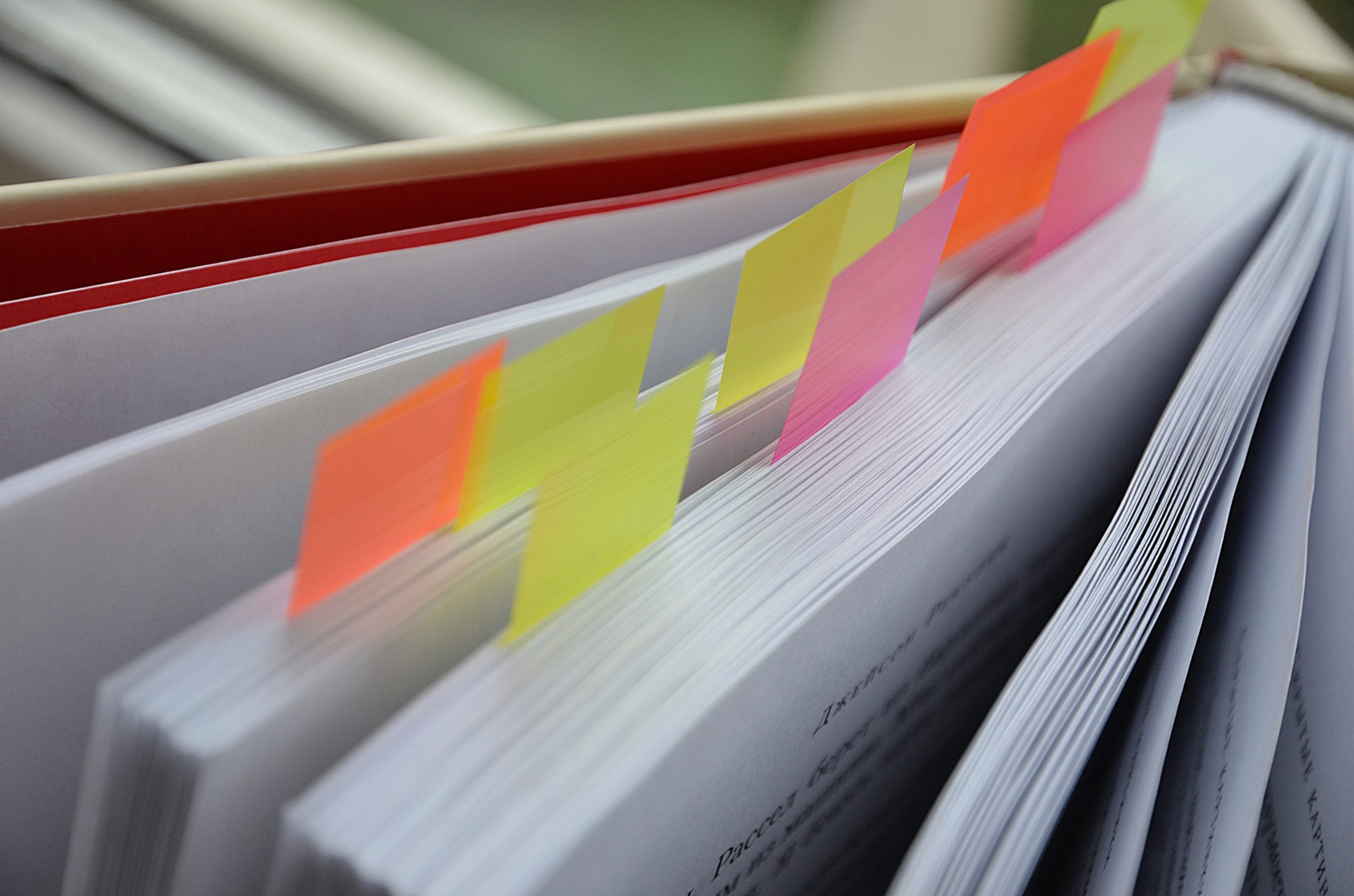 Литературный час «Здесь живут Рокки» пройдет в библиотеке №141 «Лукоморье в Царицыно». Фото: Анна Быкова, «Вечерняя Москва»