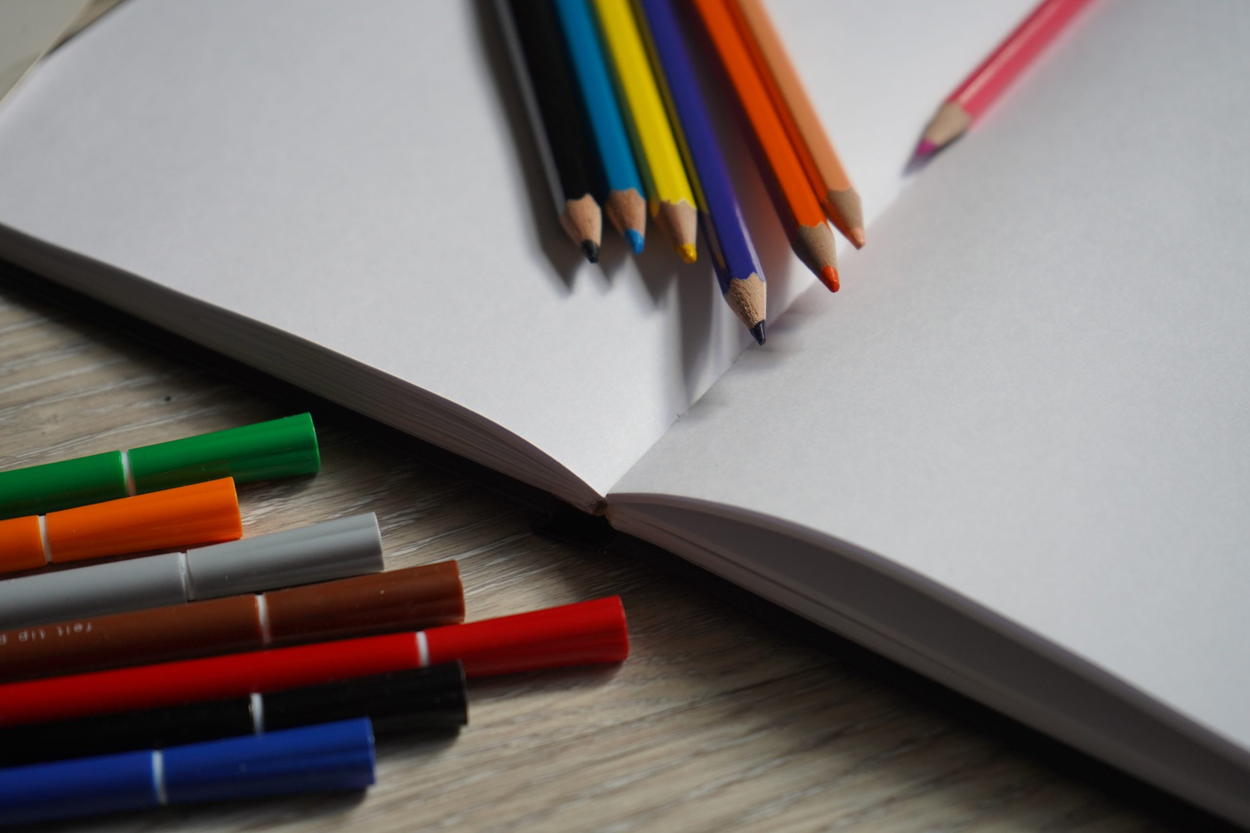 «Берегите сосны!»: познавательное занятие о поведении в лесу проведут в парке «Сосенки». Фото: Фото: Анна Быкова, «Вечерняя Москва»