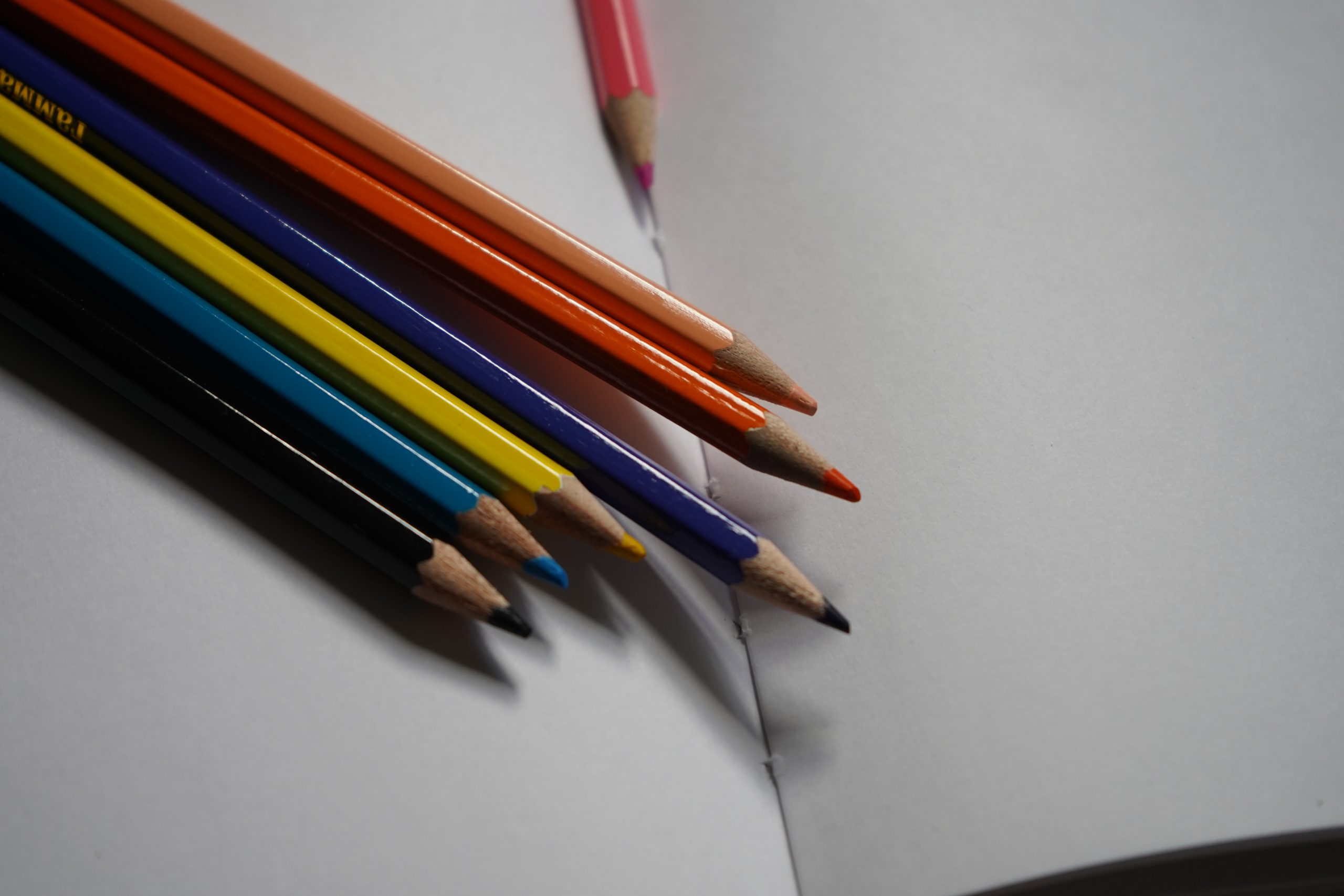 Творческий мастер-класс в честь 100-летия мультипликатора Владимира Зарубина пройдет в парке «Сосенки». Фото: Анна Быкова, «Вечерняя Москва»