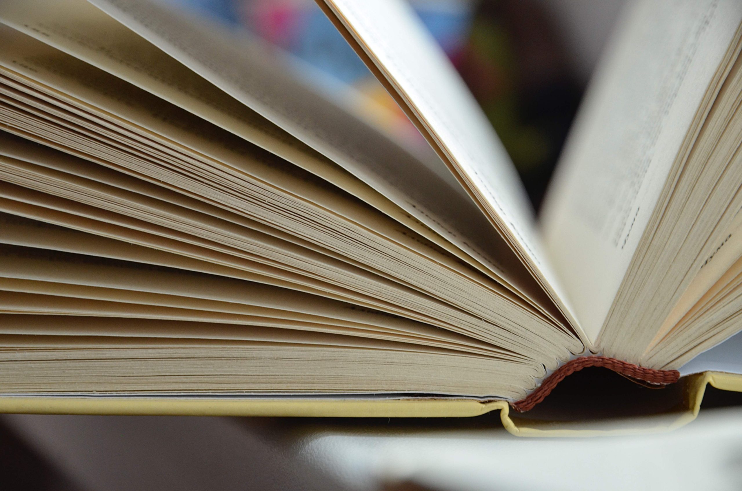 Литературный праздник в честь Орехового Спаса пройдет в библиотеке №141. Фото: Анна Быкова, «Вечерняя Москва»