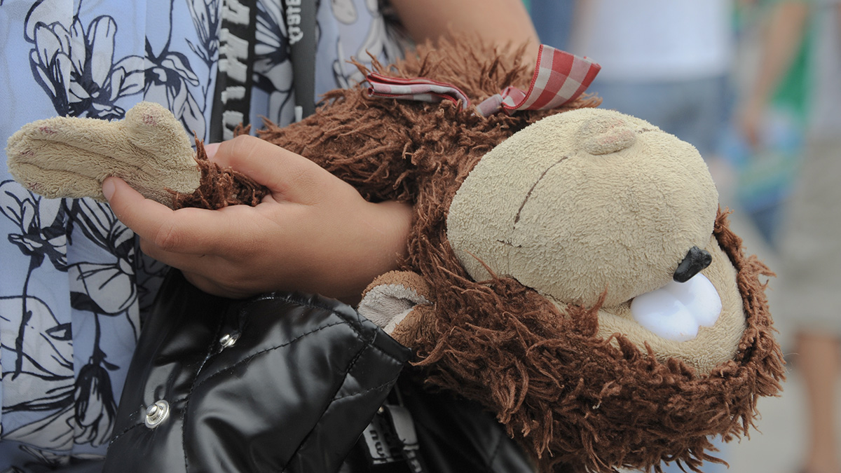 В парке «Сосенки» пройдет познавательная программа «История игрушек». Фото: Пелагия Замятина, «Вечерняя Москва»