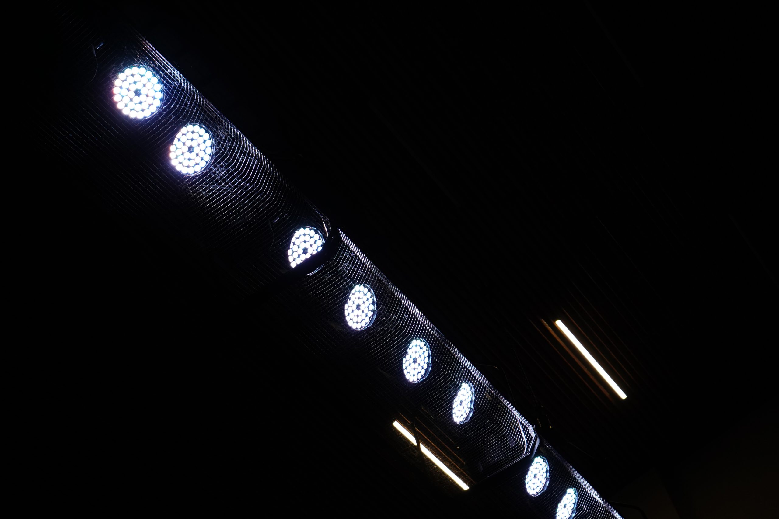 Концерт инклюзивной студии «Колорит» «Московское настроение» пройдет в Царицыне. Фото: Анна Быкова, «Вечерняя Москва»