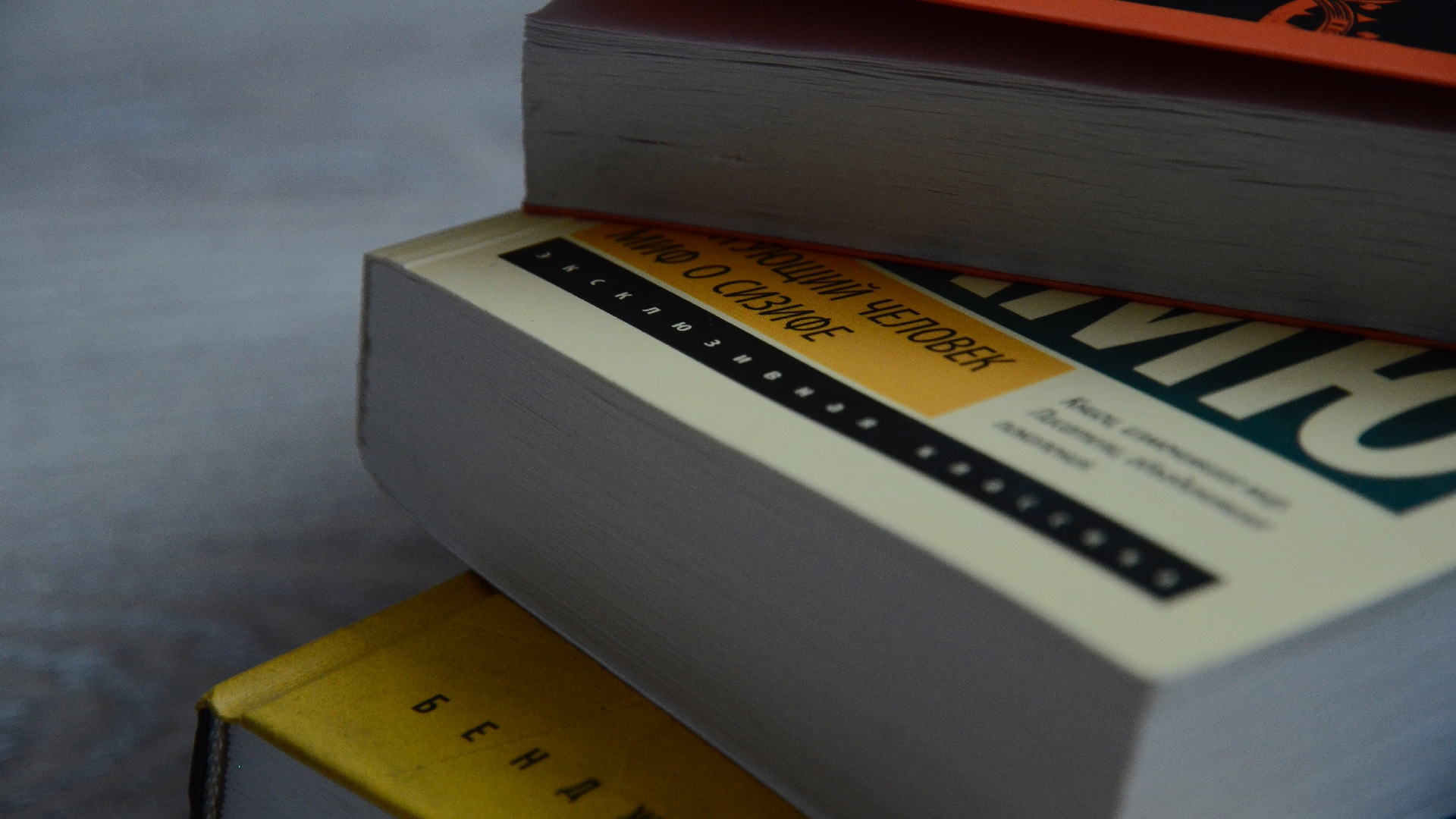 Презентации книги «Аршиновы. Страницы истории семьи» состоится в библиотеке №141. Фото: Анна Быкова, «Вечерняя Москва»