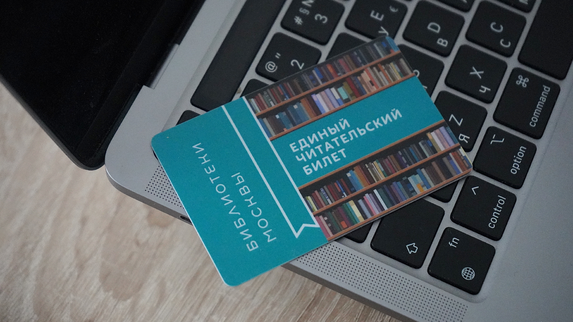 Сотрудники библиотеки №154 проведут мероприятие «Зверята и ребята». Фото: Анна Быкова, «Вечерняя Москва»