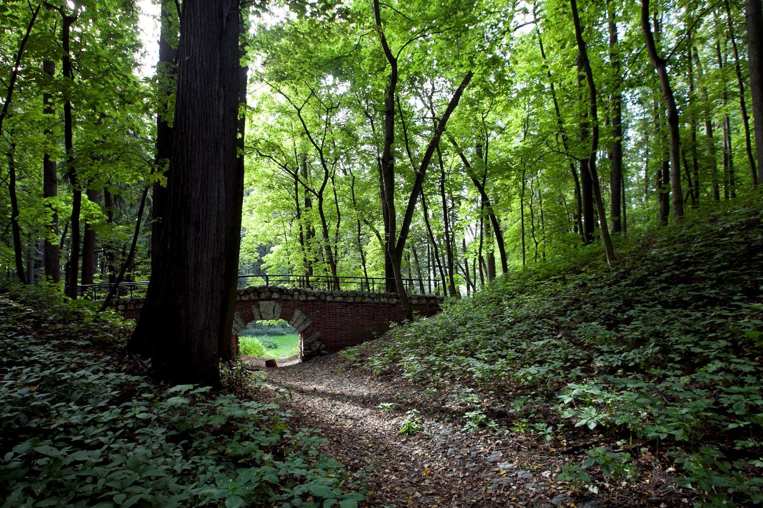 Сотрудники МЗ «Царицыно» организуют экологический квест. Фото: сайт музея-заповедника «Царицыно»