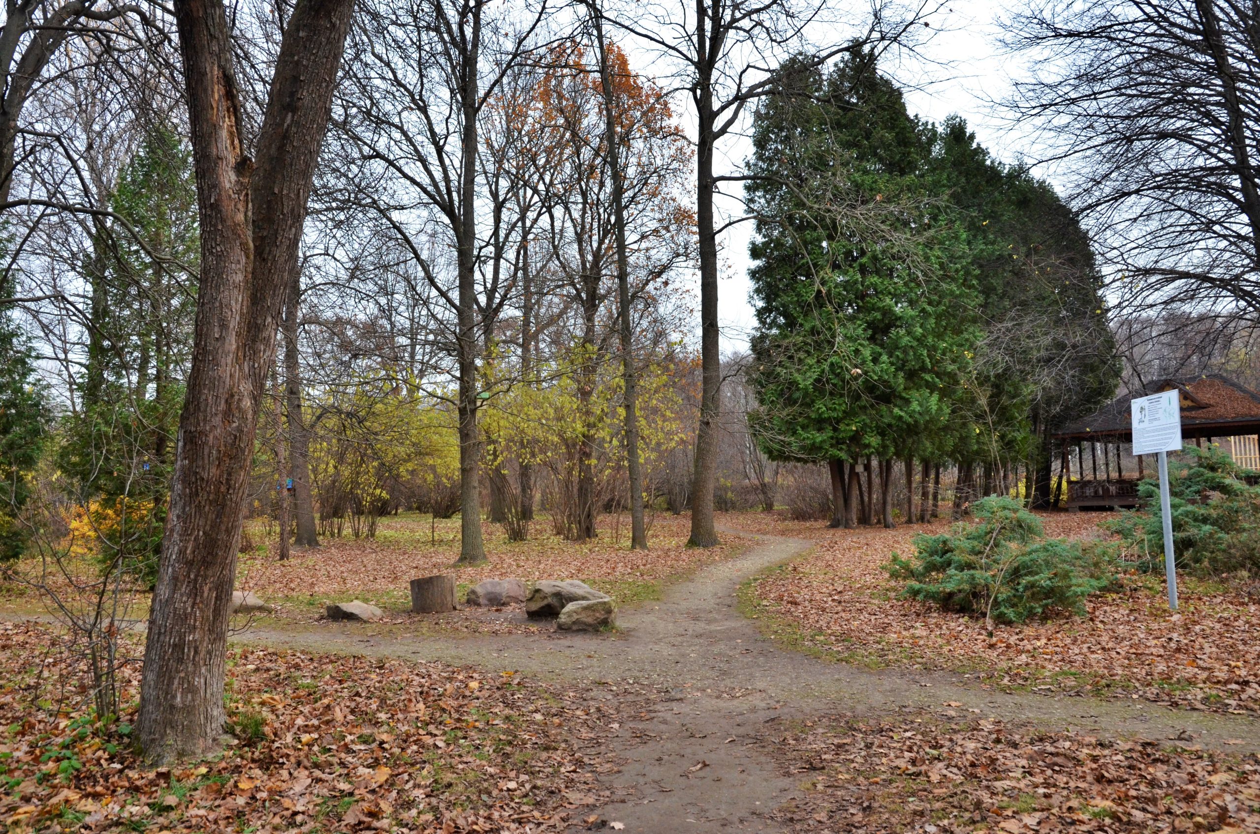 Плоггинг организуют в Бирюлевском дендропарке. Фото: Анна Быкова, «Вечерняя Москва»