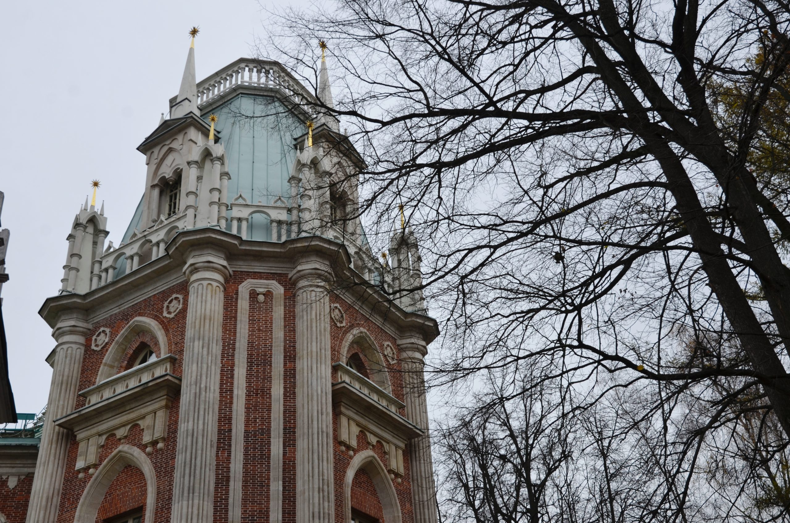 Сотруднице МЗ «Царицыно» присвоили звание Заслуженного работника культуры России. Фото: Анна Быкова, «Вечерняя Москва»
