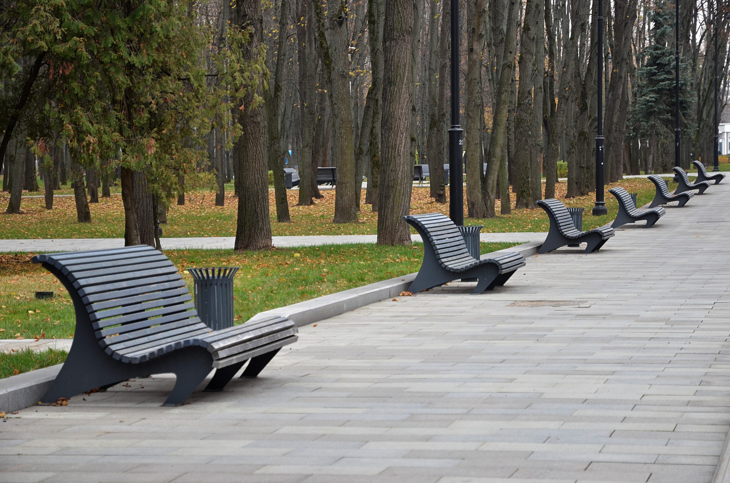 Сезон большого бега в Москве завершат фестиваль и полумарафон. Фото: Анна Быкова, «Вечерняя Москва»