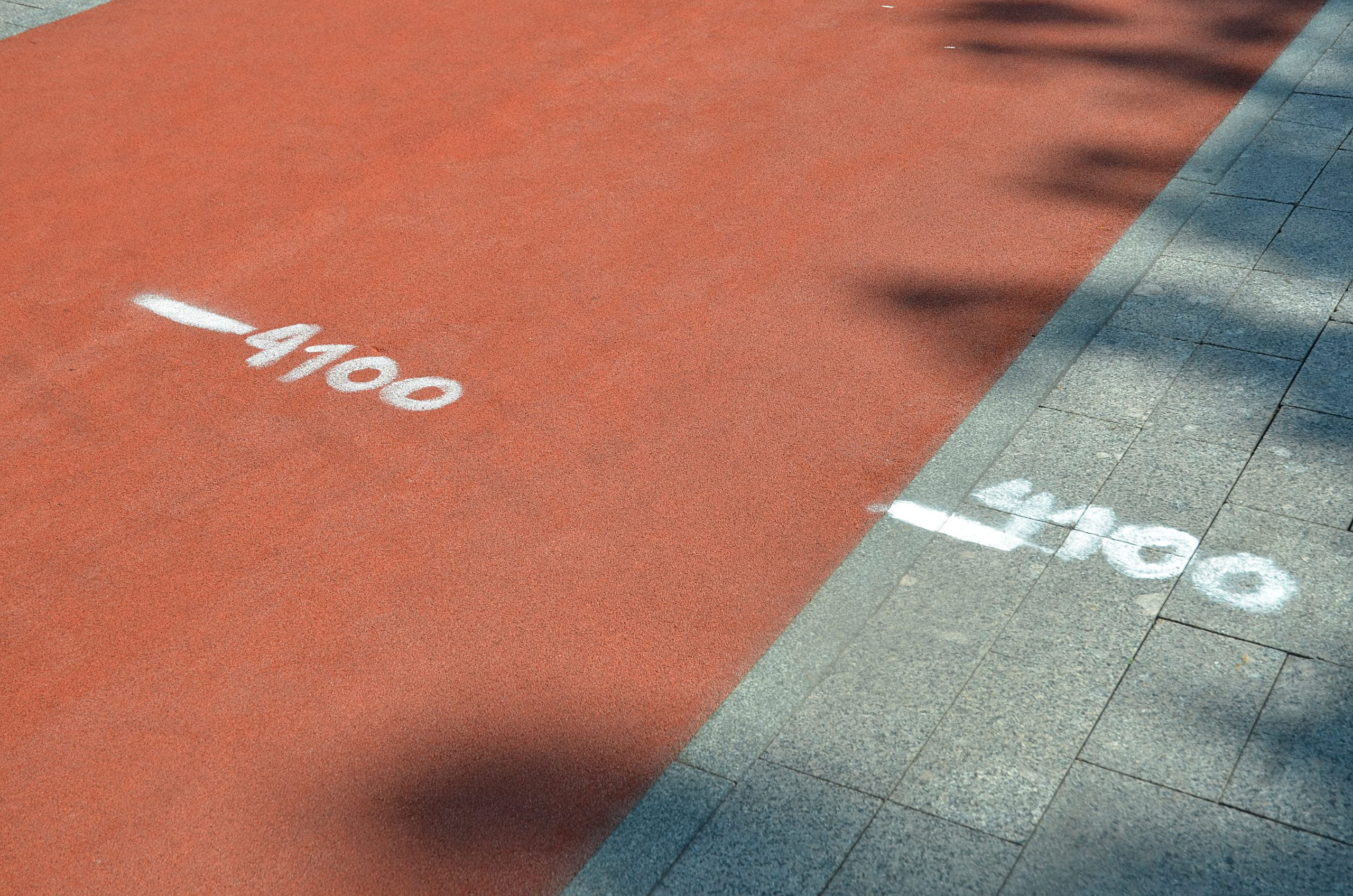 Активисты организуют забег в Бирюлевском дендропарке. Фото: Анна Быкова, «Вечерняя Москва»