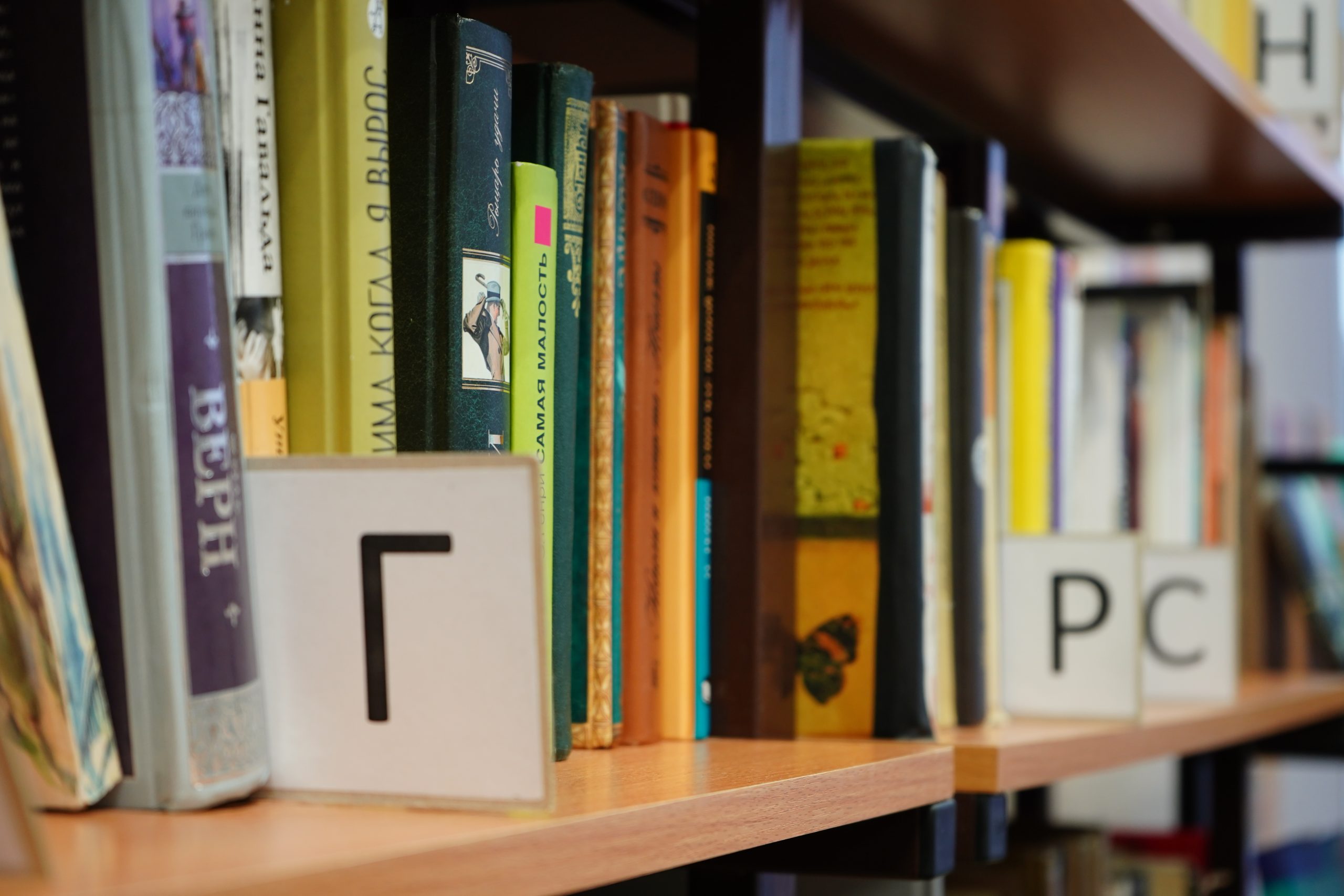 Жители Царицына смогут посетить занятие по росписи деревянных фигурок в библиотеке №139. Фото: Анна Быкова, «Вечерняя Москва»