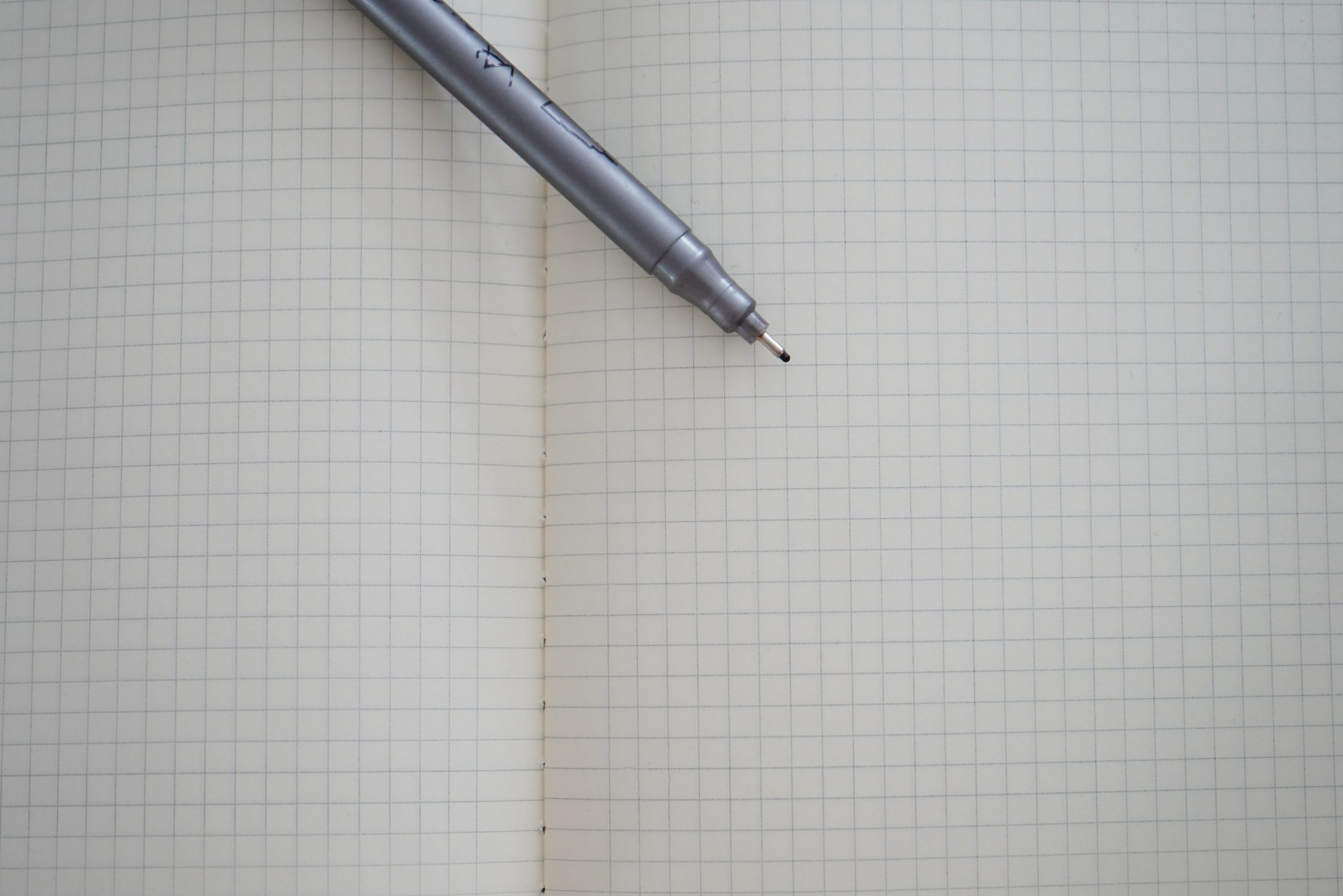 Ученики школы №1466 имени Надежды Рушевой показывают хорошие результаты на олимпиадах. Фото: Анна Быкова, «Вечерняя Москва»