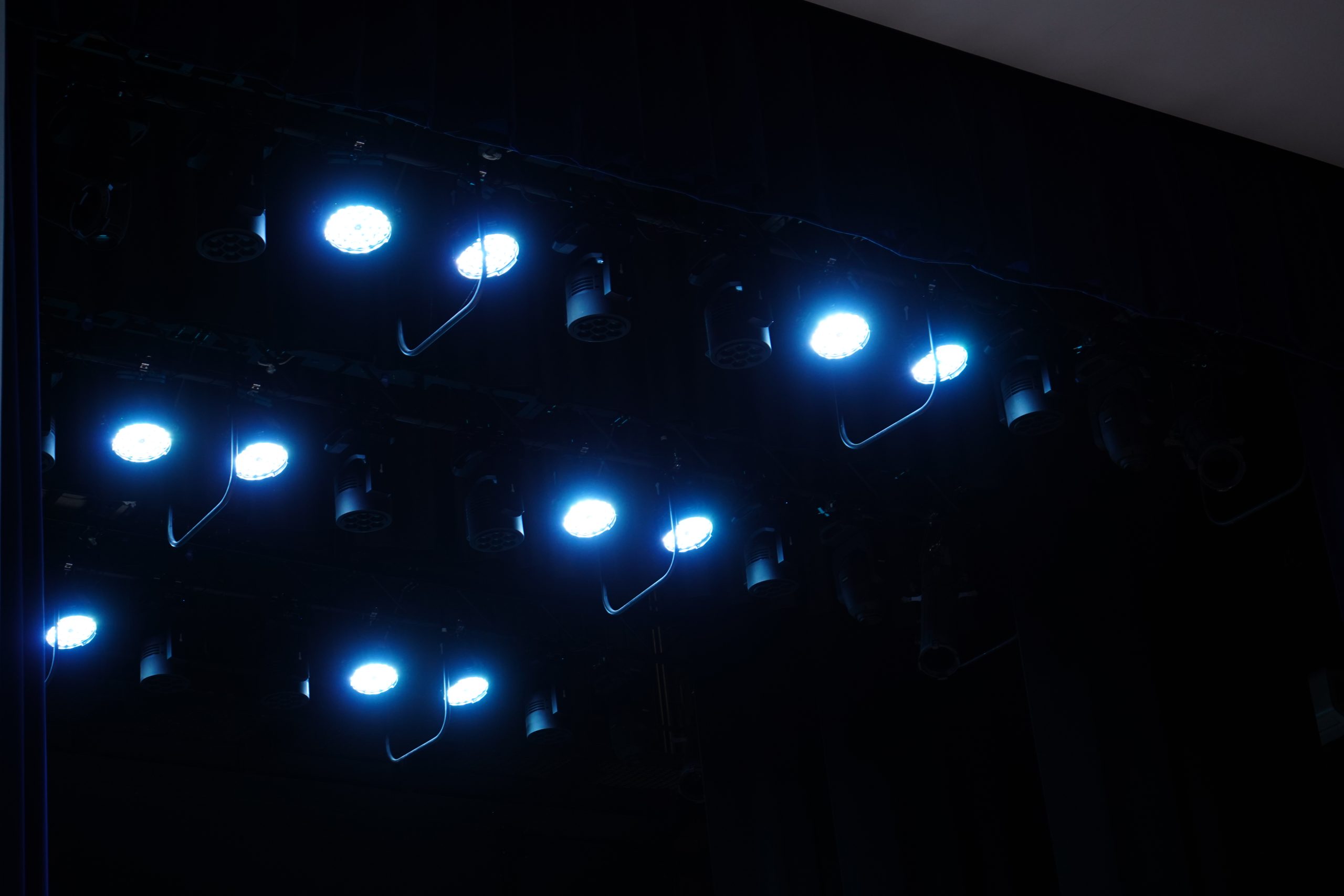 Концертная программа в честь Дня народного единства пройдет в Царицыне. Фото: Анна Быкова, «Вечерняя Москва»