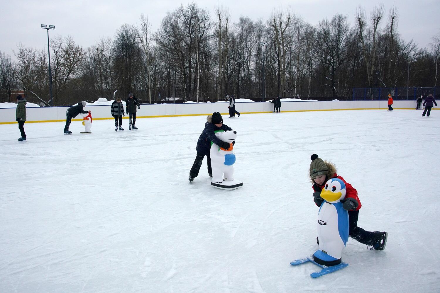 Открытие катка состоится на стадионе «Огонек» в МЗ «Царицыно». Фото: сайт МЗ «Царицыно»
