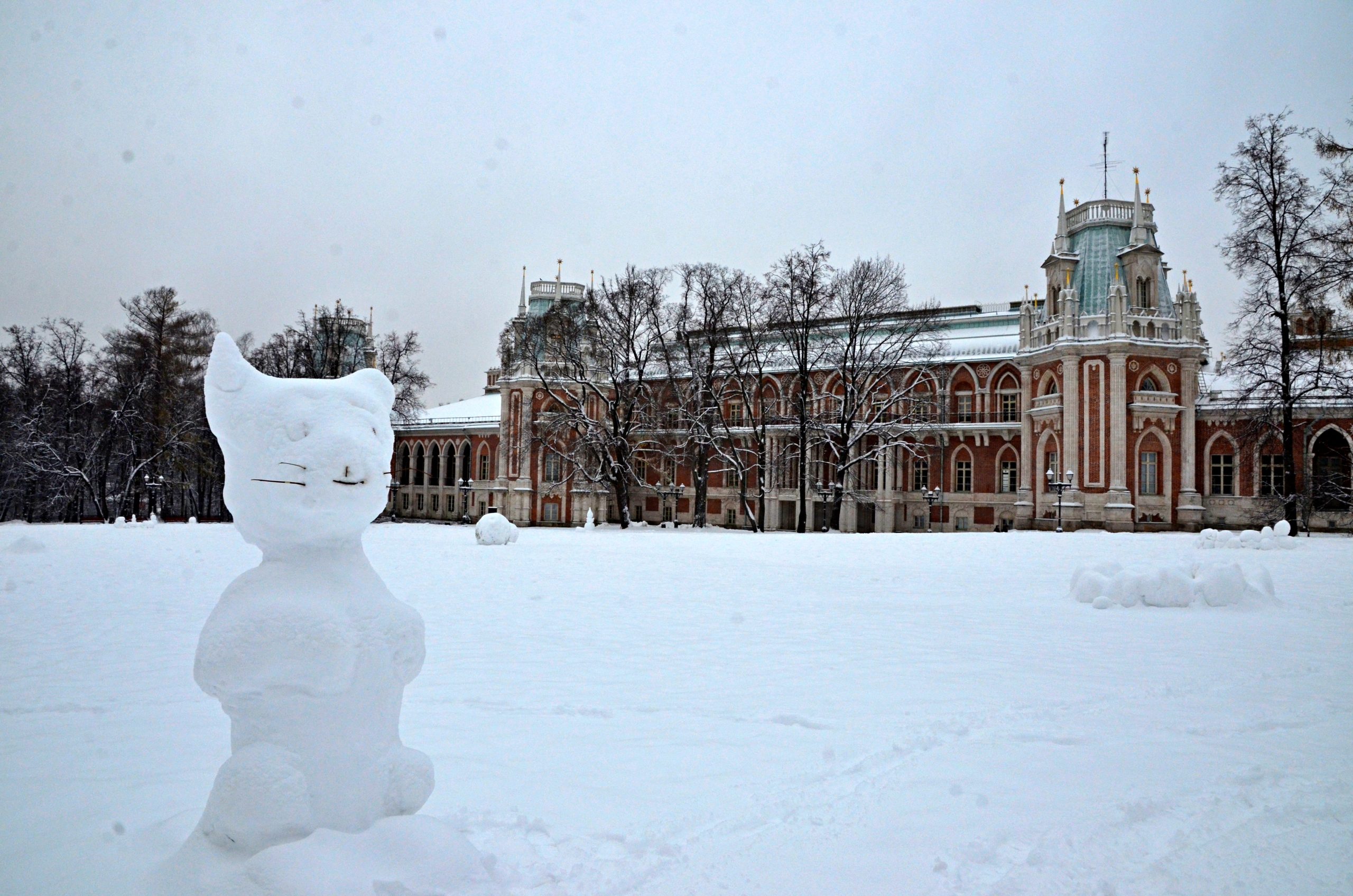Развлекательные мероприятия проведут на территории МЗ «Царицыно». Фото: Анна Быкова, «Вечерняя Москва»