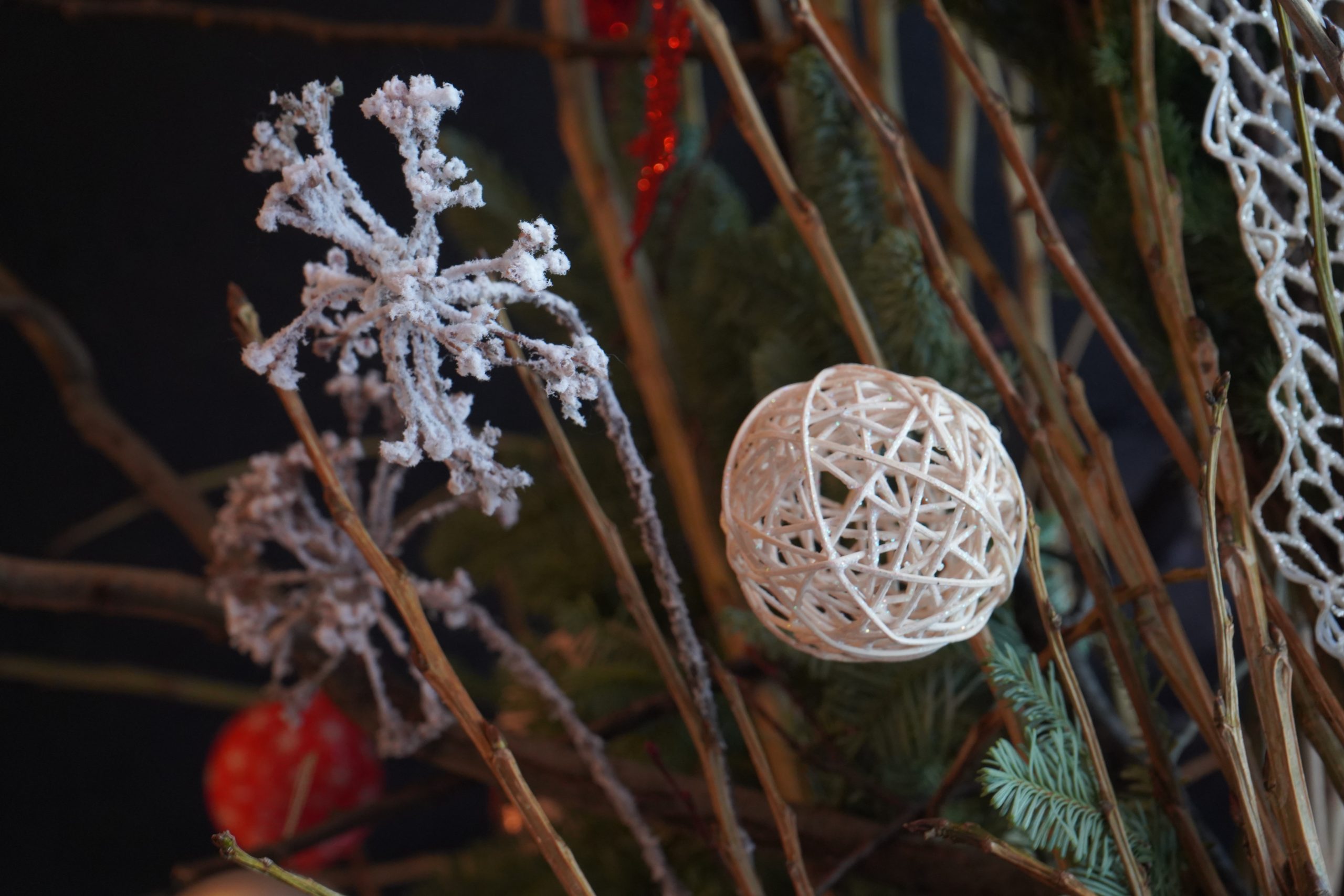 Предновогоднее выступление пройдет в парке «Сосенки». Фото: Анна Быкова, «Вечерняя Москва»