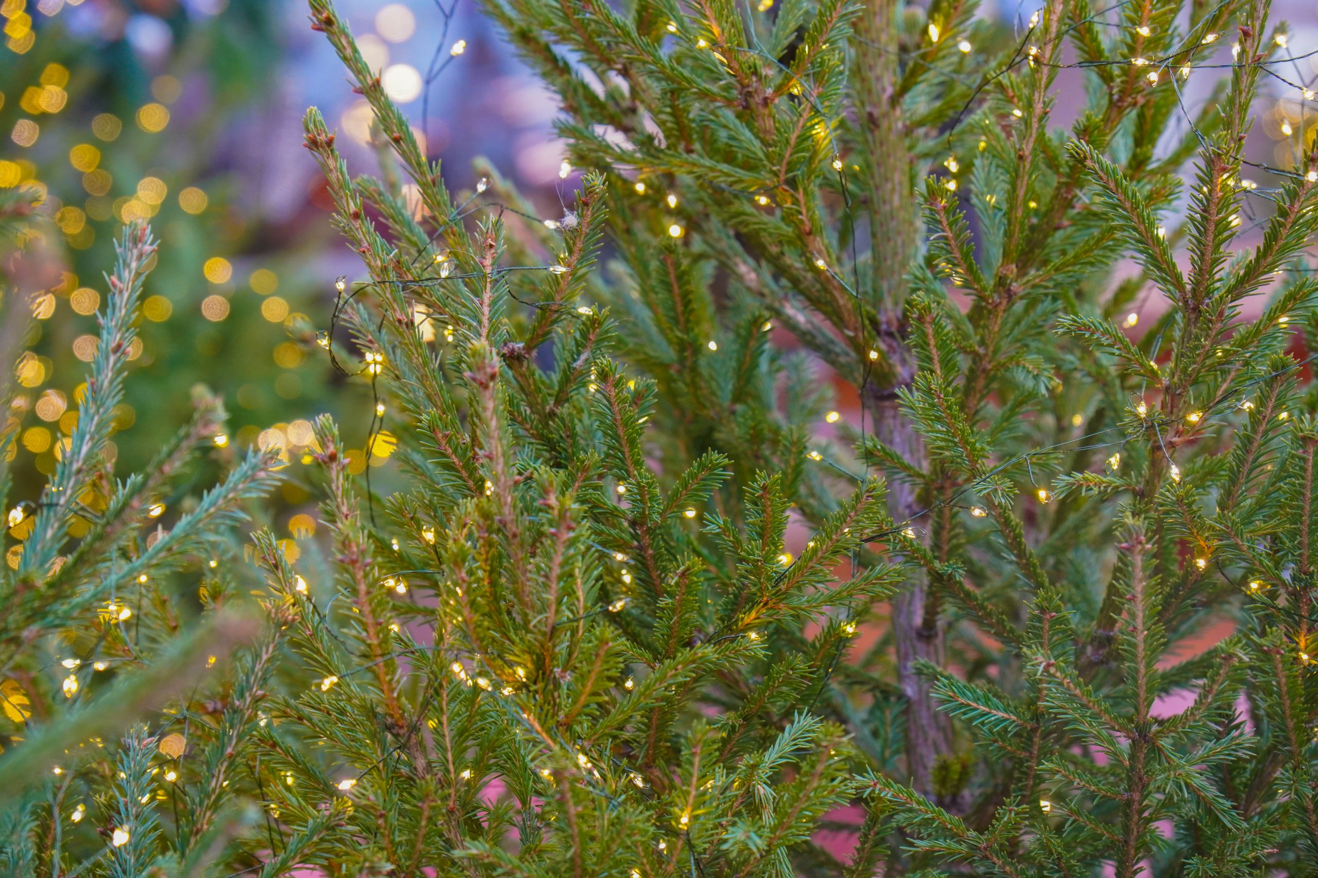 Шоу ростовых кукол состоится в Царицыне. Фото: Ксения Догонашева, «Вечерняя Москва»