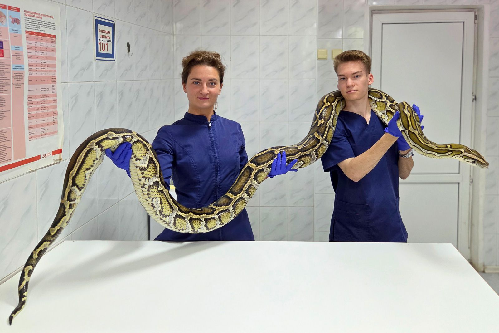 Необычный пациент ветклиники из Царицына стал одним из самых запомищающихся за 2025 год. Фото: пресс-служба государственной ветеринарной службы города Москвы