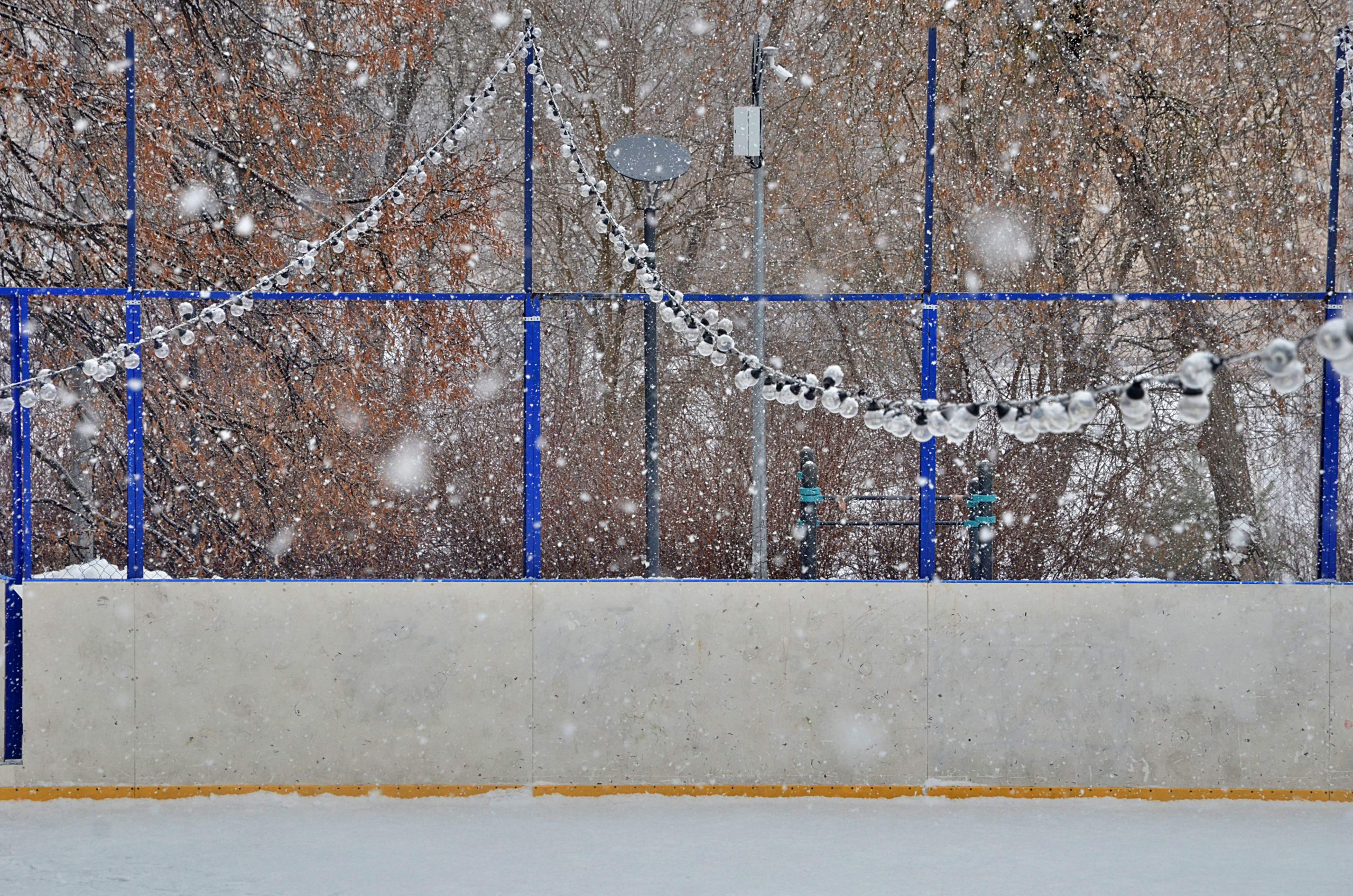 Татьянин день отметят в Царицыне. Фото: Анна Быкова, «Вечерняя Москва»