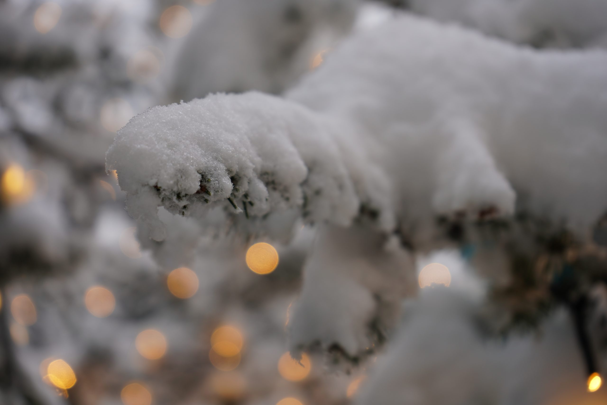 Снежный баттл пройдет в Царицыне. Фото: Анна Быкова, «Вечерняя Москва»
