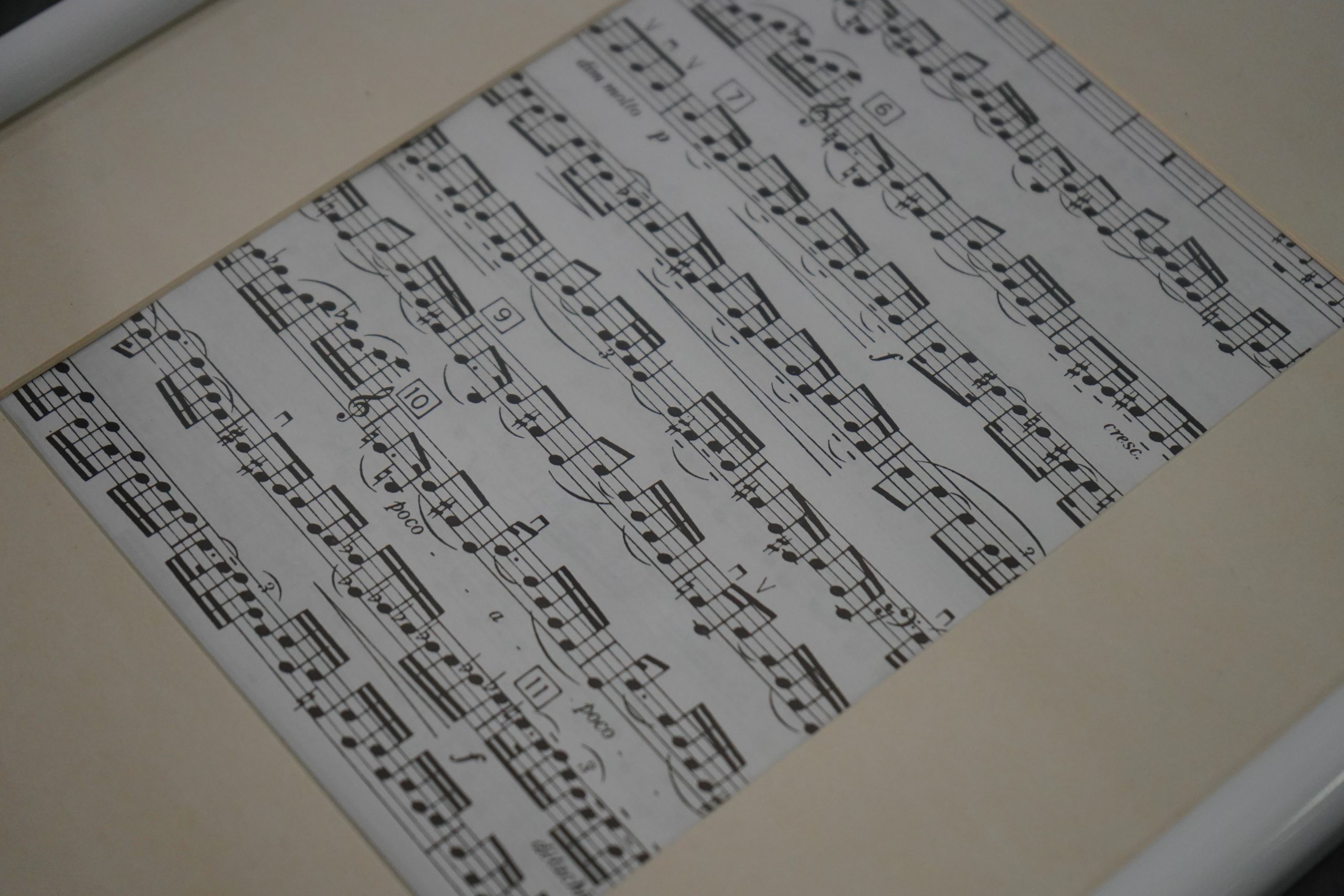 Камерный оркестр ДМШ №4 занял призовое место в рамках международного конкурса. Фото: Анна Быкова, «Вечерняя Москва»