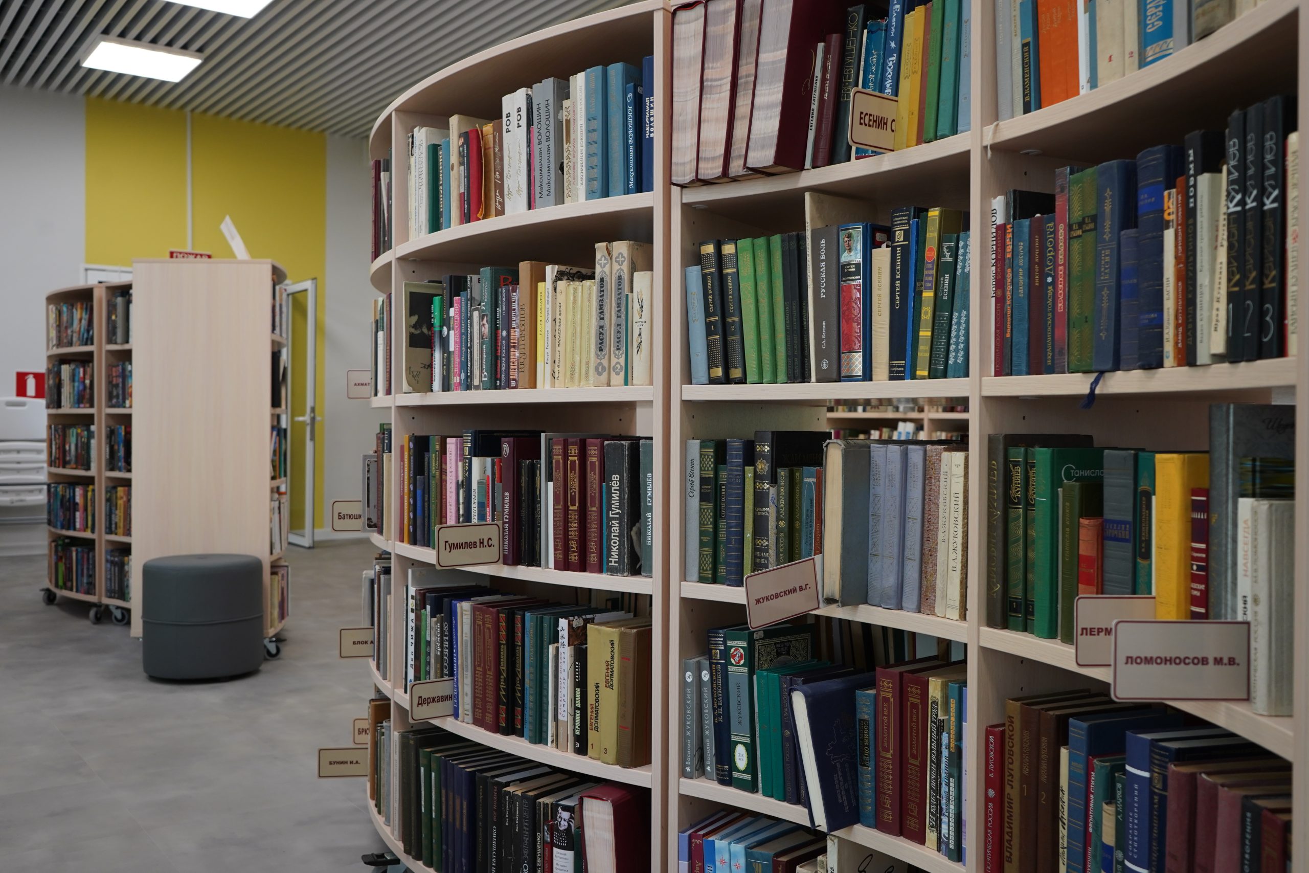 Сотрудники библиотеки №139 проведут встречу ко Дню Арктики. Фото: Анна Быкова, «Вечерняя Москва»